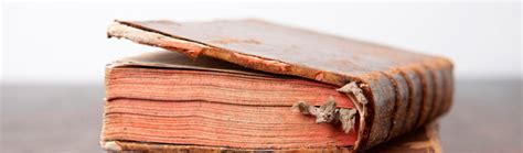 how to get the musty smell out of books and why it's important to preserve historical documents